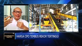 Terimbas Kenaikan Minyak Nabati, Harga CPO Tembus Rekor