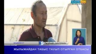 ЖЫЛЫЖАЙДАН  ТАБЫС ТАУЫП ОТЫРҒАН ОТБАСЫ