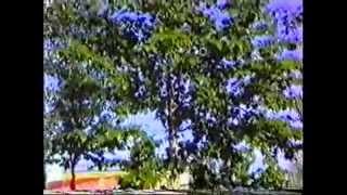 Кадыкчан