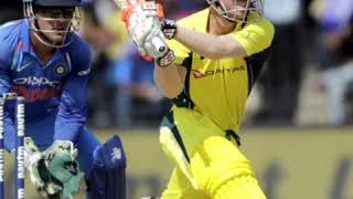 Cricket Bulletin of the Day
