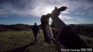 #5 - Perdizes e Lebres (Hunting / Caza )