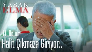 Halit çıkmaza giriyor.. - Yasak Elma 11. Bölüm