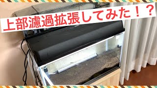【注目！】上部濾過拡張してみた！？水槽立ち上げ・・