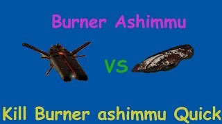 Burner Ashimmu in Drekavac