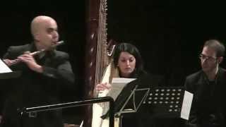 JEAN-MICHEL DAMASE - Variations "Early Morning" for Flute and Harp (DUO NARTHEX)