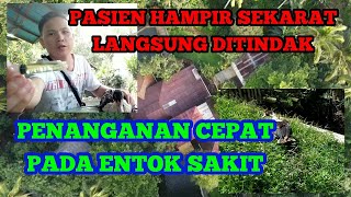 MENGOBATI ENTOK SAKIT, LETIH LESUH KURANG BERTENAGA. MASA MASIH BETERNAK ENTOK.