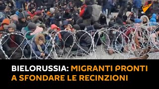 #Bielorussia: migranti pronti a sfondare le recinzioni