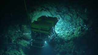 Octopus Wonderland: Return to the Davidson Seamount | Nautilus Live