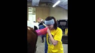 Rectal Palpation