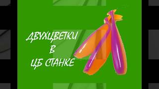 Двухцветки в ЦБ