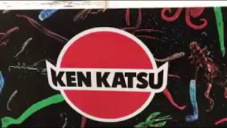 Силиконовые приманки KEN KATSU