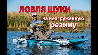 20 щук на неогруженную резину за одну рыбалку. Результативные проводки и секреты ловли на мелководье