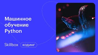 Как разработать искусственный интеллект на Python? Интенсив по чат-ботам