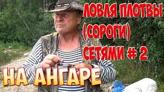 Рыбалка. Ловля плотвы (сороги) сетями. На Ангаре.# 2 Fishing.