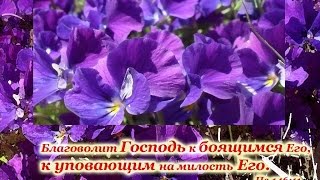 Олег Шишкин - Кротость - ключ к сердцу Бога