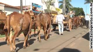 Tradicional Desfile de carro de bois em Unaí