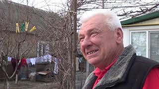 Николаевские голуби. Pigeon.После праздников.