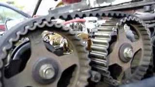 Timing Belt