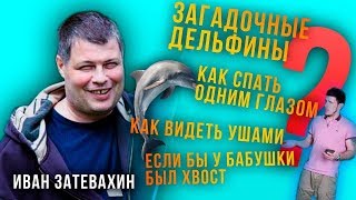 04 || Что вы не знали о дельфинах. Mysterious dolphins