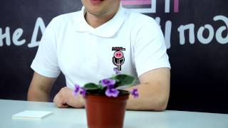 Оригинальная ручка "Кактус"
