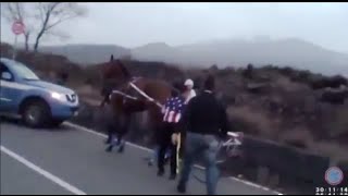 Corse Clandestine di Cavalli a Catania - Sicilia: Video Polizia