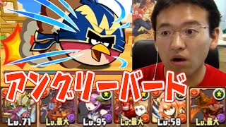 【パズドラ】アングリーバードコラボ 黄金級 にクリシュナで挑戦！