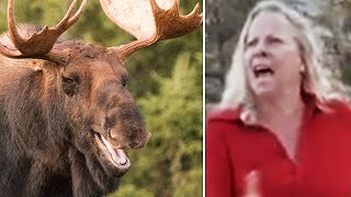 Moose Causes Karen To Make A Fool Of Herself
