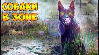 Хвосты собак и три медузы для Каланчи (Серия 8) - Альтернатива 1.3.2