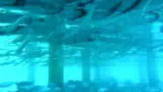 Royal Island Resort & Spa, Maldives: Fish