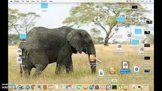 how to download minecraft on pc or mac for free