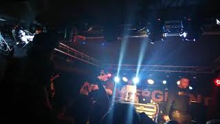 Słoń - Clinton | Olsztyn Nowy Andergrant | MUTYLATOR TOUR