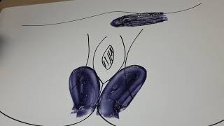 Brazilian Wax Demo On Paper