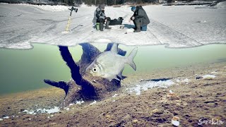 НАШЁЛ ПОДО ЛЬДОМ ГОЛОВУ НОСОРОГА!!! Подводная съемка