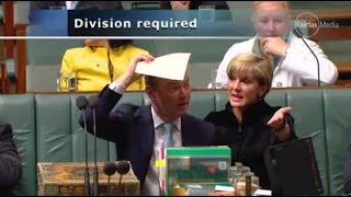 Scum! Grub! Disgrace! 45th Australian Parliament gets back to name calling