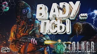 ?S.T.A.L.K.E.R. ➤В Аду...Псы➤?Стрим #8➤Беспилотник, Стронглав и Отшельник