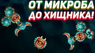 ОТ МИКРОБА ДО ХИЩНИКА! - Sipho