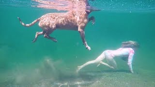 Girls Best Friend - Underwater boulder running with my dog