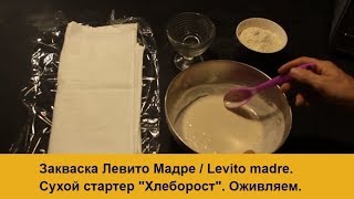 Покупная Закваска Левито Мадре  от Хлеборост / Освежение (восстановление, оживление) сухого стартера
