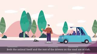 Paratiro.gr: Download the application Protect wildlife | Eng Subs