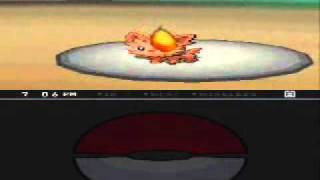 pokemon black (blind walkthrough) episode 4 ~ Gym one (bit of a cock up)