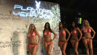 2010.PLAYMATE-RADNAY PÉTER-SYMBOL-video-2-:Paál László