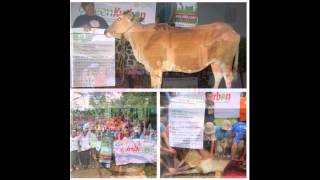 Kurban Online, Green Kurban, Layanan Hewan Qurban, 0851 0004 2009 (Telkomsel)