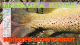 Huge Brown Trout Mataura River, New Zealand ニュージーランド南島でモンスターブラウンが釣れたー！
