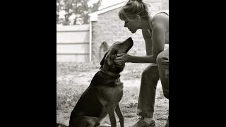 Richmond Animal League, Nothing More - Newtown Kindness