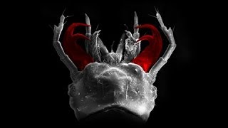Science Bulletins: Deadly Larvae Lure Predators