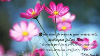 Word of wisdom   คำคม
