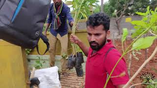 Thuvakkam miyawaki urban forest @ Prabha Industries, Ponammalle