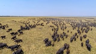 E6 - Safari in Katavi national park