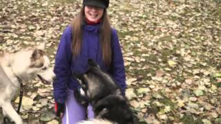 Хаски и фрисби / Husky and frisbee 2015