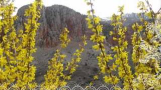 New flower TAGARAN Armenian Spiritual Music of the V-XIII centuries